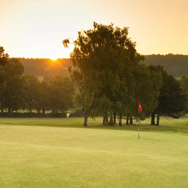 Matlock 2025 Golf Pairs
