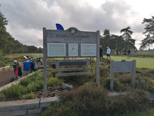 Hankley Common 2024