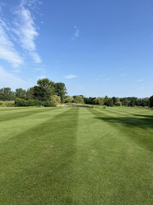 The Belfry Brabazon 2024