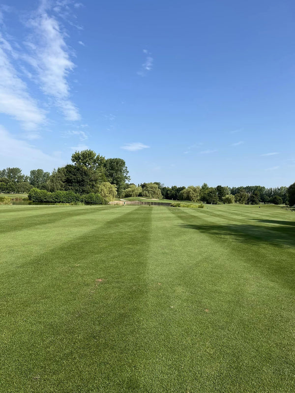 The Belfry Brabazon - 2nd August 2024