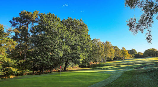 Royal Ashdown Old 2025