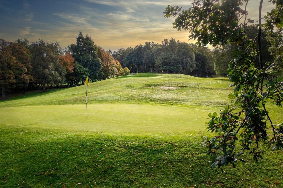 Beamish Park Singles 2025