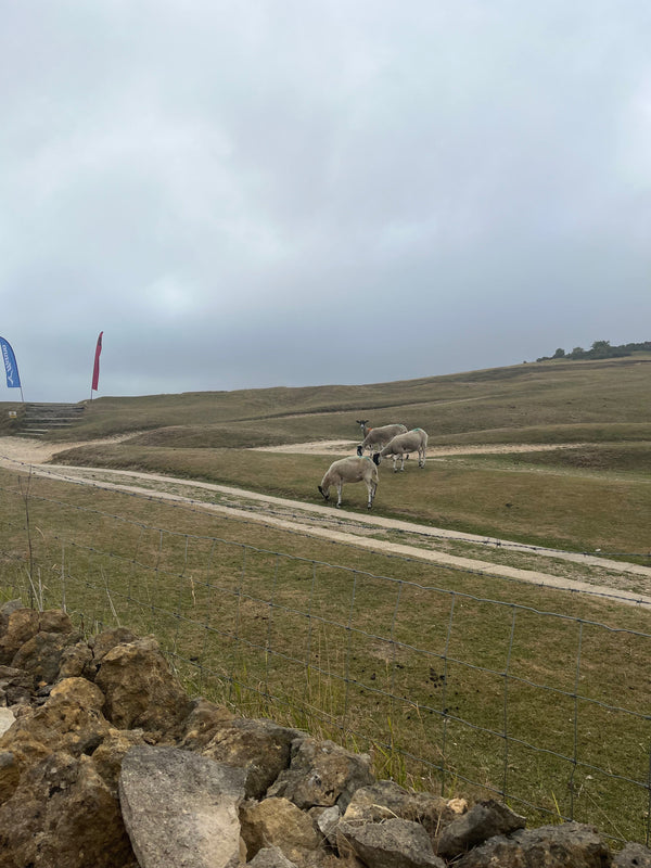 Cleeve Hill 2025