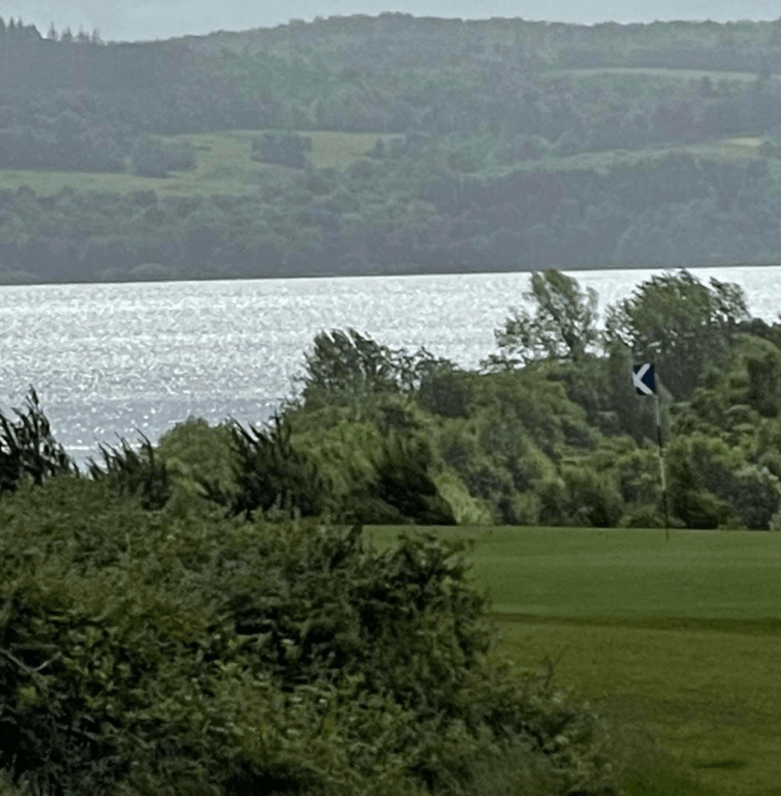 The Carrick - Friday 10th June