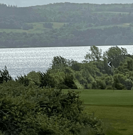 The Carrick - Friday 10th June