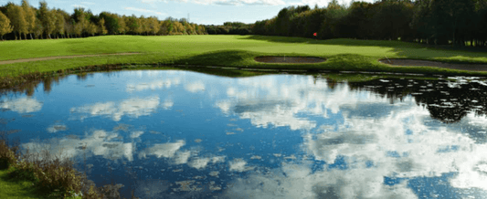 Eden - Sunday 14th August