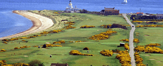 Fortrose - Thursday 19th August