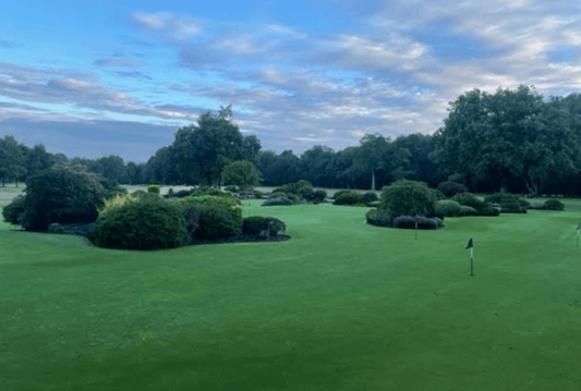 Little Aston - Friday 26th August