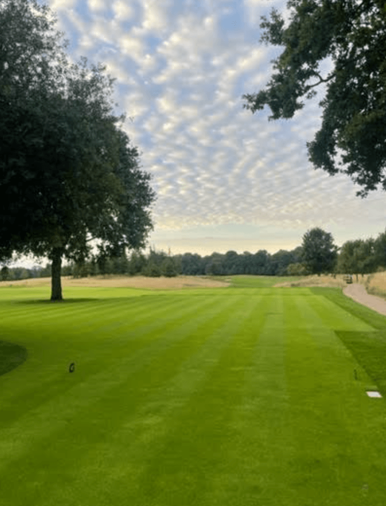 The Grove - Monday 29th August