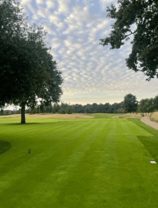 The Grove - Monday 29th August