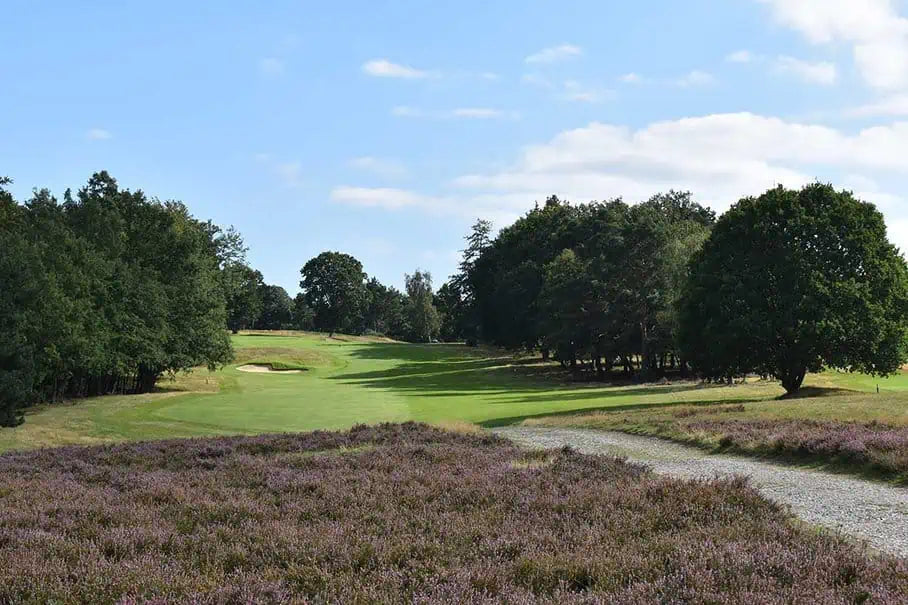 The Addington - 7th June 2023