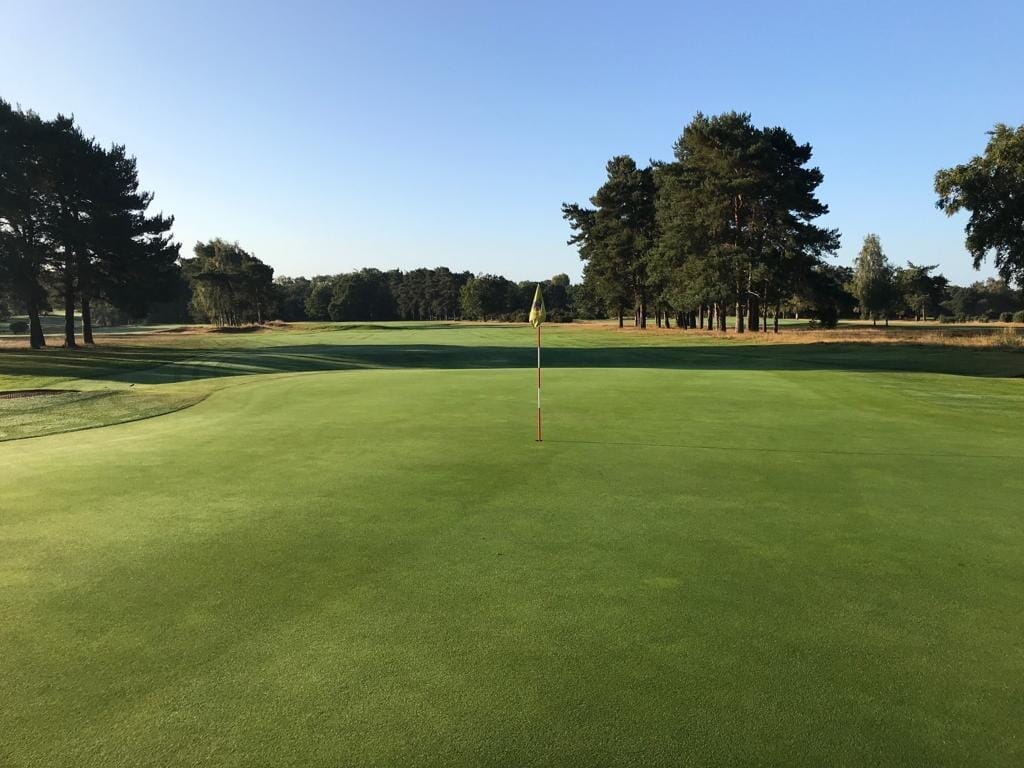 Frilford Heath 2025