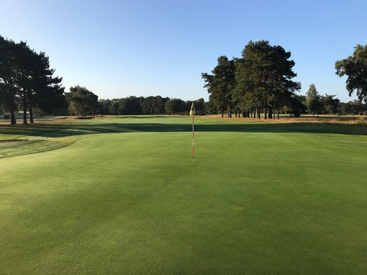 Frilford Heath 2025