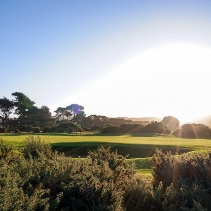 Yorkshire 5 Days 2026