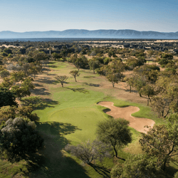 Bushveld Safari and Golf 2025