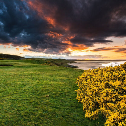 Northumberland 4 Days 2026