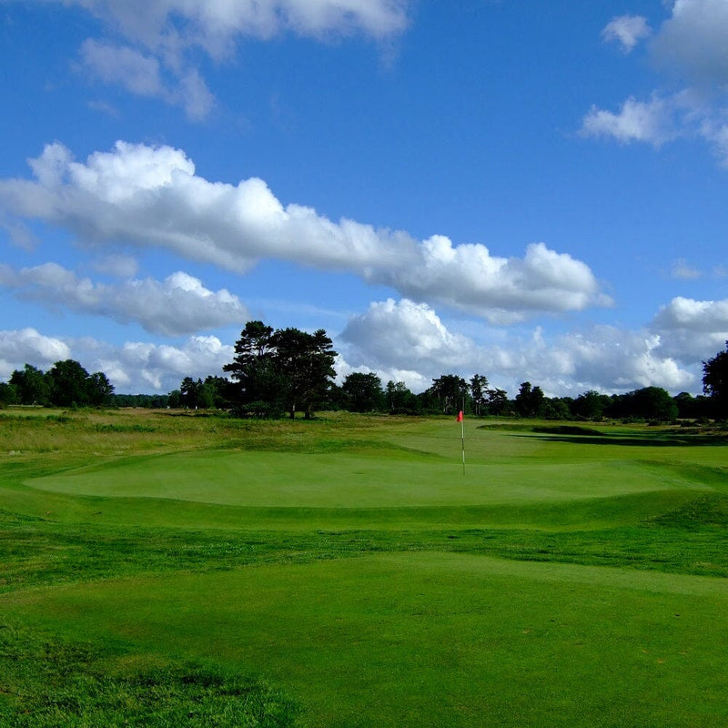 Walton Heath 2 Days 2024 Golf Pairs